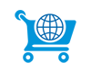 Custom E-Commerce