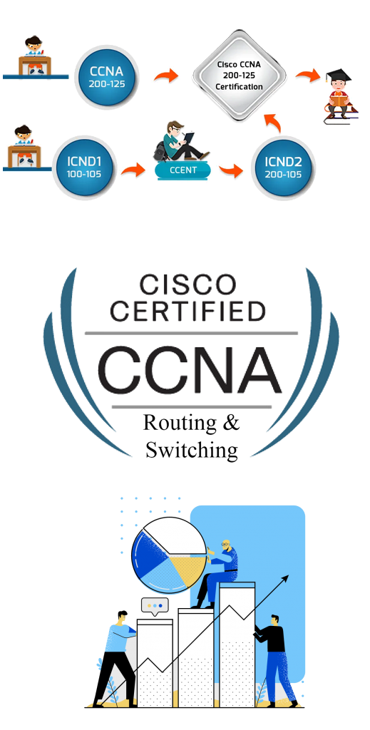 Web Custom Development